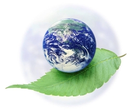 Earth on leaf