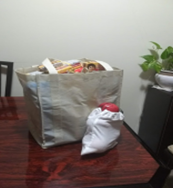 Rhadika, Pradeep and Hari's grocery bag