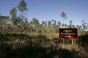 Habitat restoration