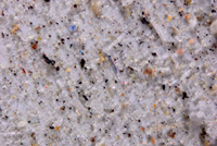 Plastic fibers and beads in dusts collected from remote National Parks and Wilderness areas in the United States.