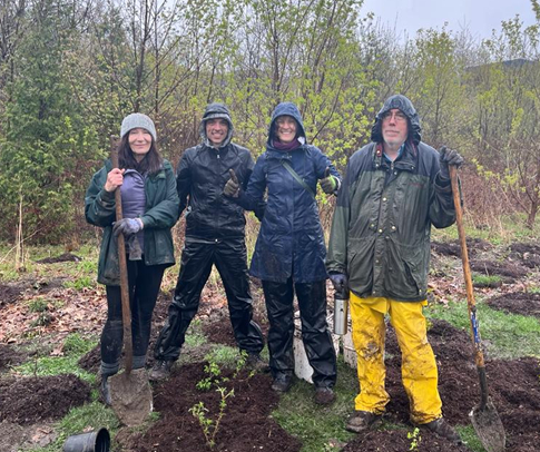 Planting trees in the rain