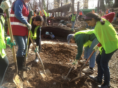 AYUDH tree planting