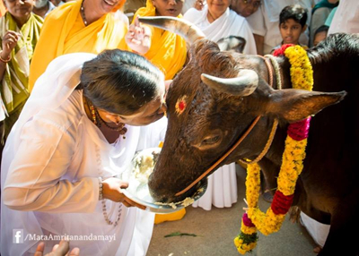 Amma on Celebrating Our Birthdays