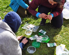 Choosing seeds