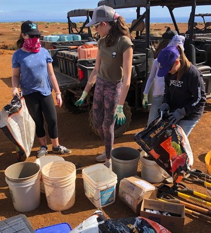 Ella getting ready to start planting