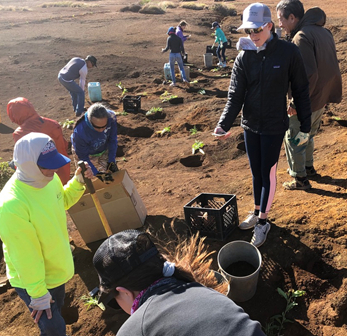 Ella and friends planting trees