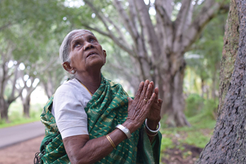 Thimmakka