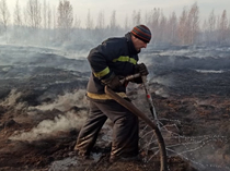 Tropical Forests Were Destroyed at a Rate of 10 Soccer Fields