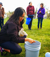 Tetsing soil moisture