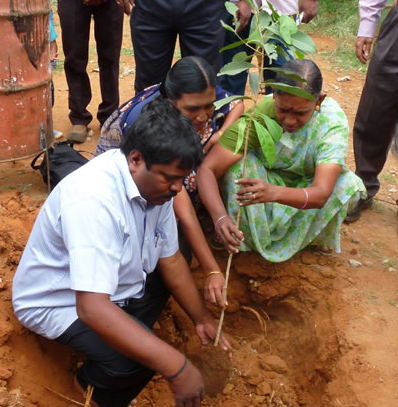 Marimuthu Yoganathan plants another tree