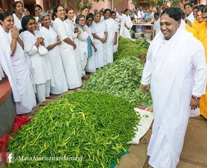 Amma reviews a harvest