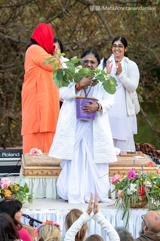 Amma blesses the 1000th fruit tree