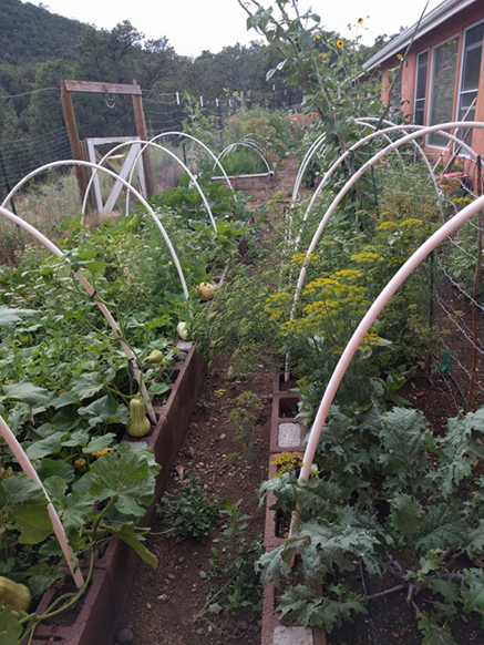 The garden at Amma Center of New Mexico