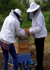 Beekeepers