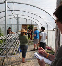 Greenhouse construction