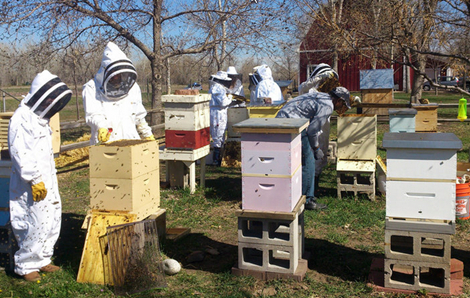 Community Apiaries