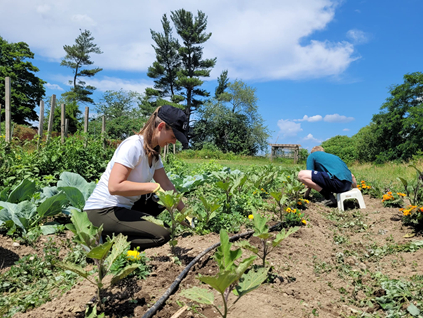 My First Garden Seva