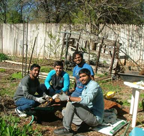 4 apple trees and 4 cherry trees were planted in April