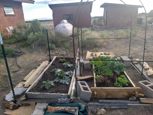 Our small garden by the propane tank