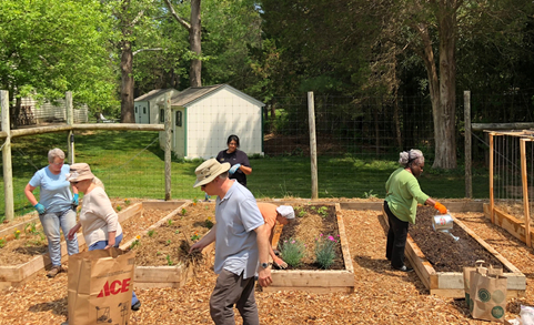 Maintaining the garden