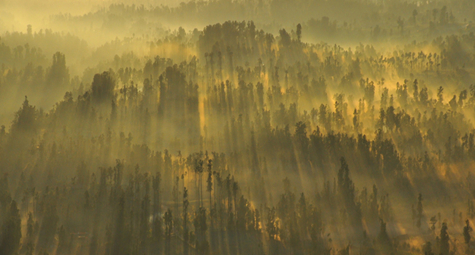 Sunrise near Mt. Sumeru, Indonesia. Aditi / Flickr