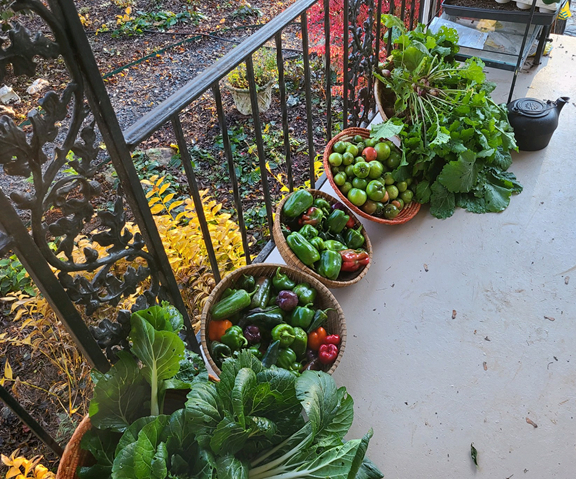 Winter garden bounty