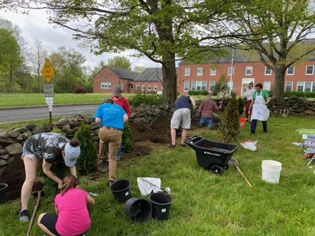 New England tree planting