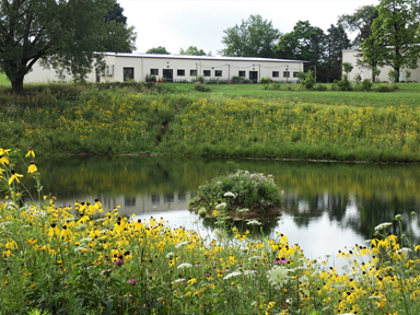 Retention pond