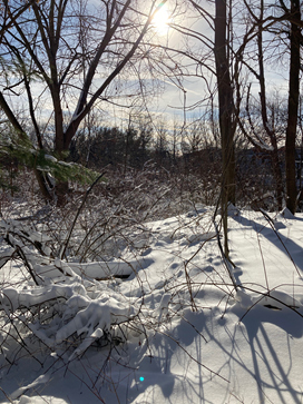 Snow