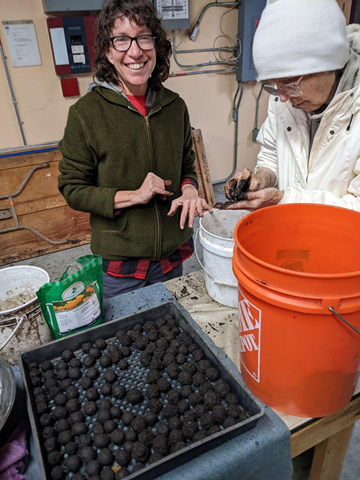 Making seed balls