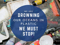 Solutions on Plastic in our Oceans