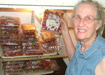 A single day's strawberry harvest