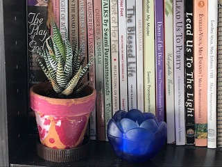 Succulent
