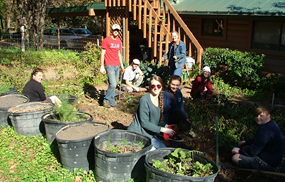 Teens on the farm