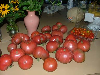 Cherokee purple and Sweet 100’s tomatoes are the best
