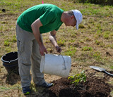 Tree planting