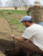 Community garden planting