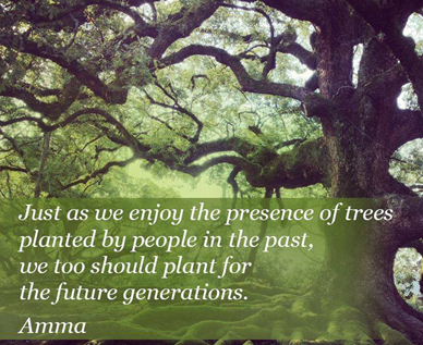 Amma quote