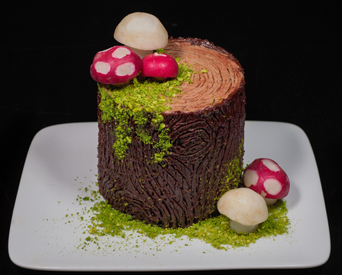 Chocolate Tree Stump Cake