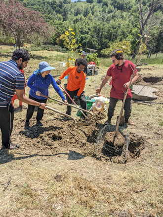 Naveen, Anupama, Jason and Amar planting a tree
