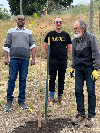 Bhavanish, Amar and George with fully planted peepal tree