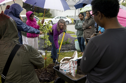 Tree-planting demonstration by Victoria