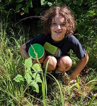 Youth Camp Plants 150 Hibiscus Tree Saplings